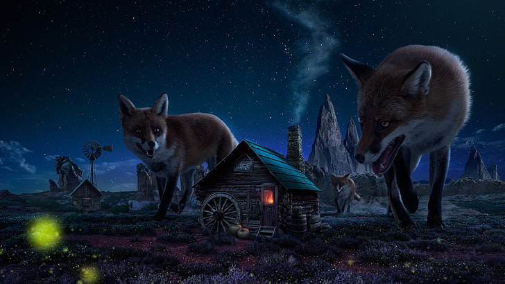 pack of red foxes lurking beside brown wooden house digital wallpaper
