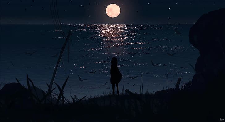anime girls, sea, Moon, silhouette, grass