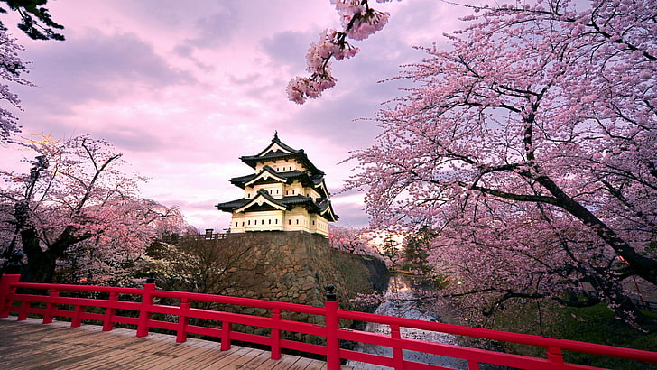 hirosaki castle, spring, japan, cherry blossom, sakura, japanese, HD wallpaper