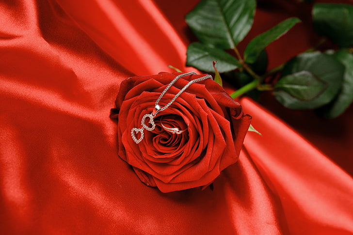 red rose, chain, heart, flower, rose - Flower, love, romance, HD wallpaper