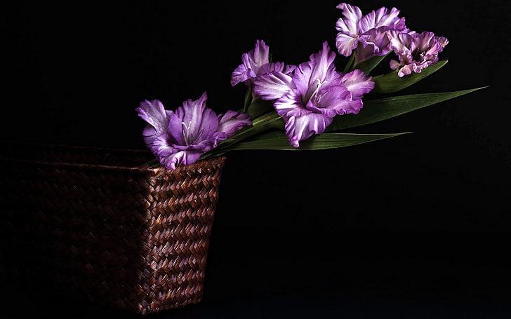 purple gladiolus flowers and brown wicker vase, gladioli, basket