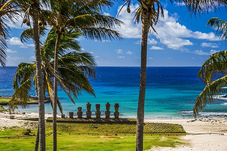 nature landscape beach sea palm trees grass sand moai statue easter island rapa nui chile sunlight, HD wallpaper