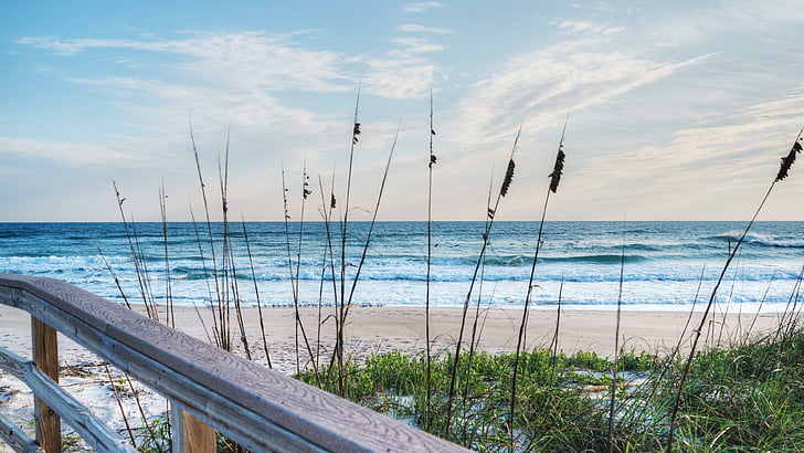 seashore, sky, grass, sand dunes, sandy, florida beach, united states, HD wallpaper