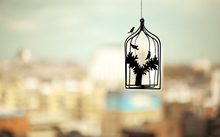black hanging decor, photography, silhouette, cages, birds, trees