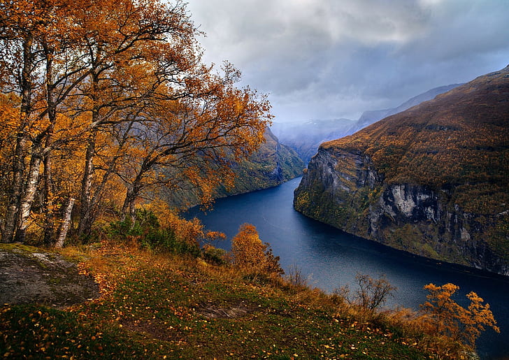 nature landscape fjord norway fall trees grass mountain clouds geiranger, HD wallpaper