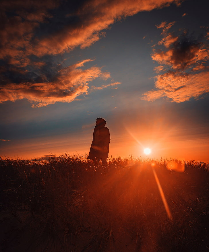 man, alone, sunset, grass, field, sunlight, sky, one person
