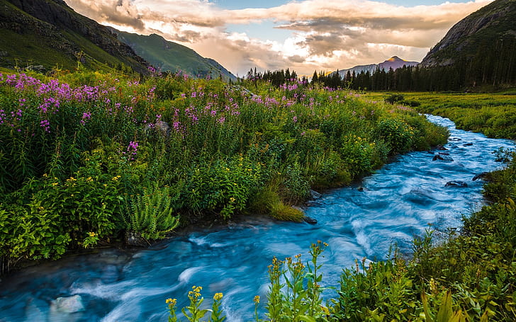 USA, Colorado, river, flowers, mountains, sunset, clouds, summer, HD wallpaper