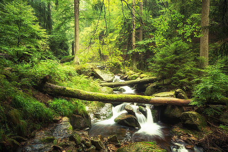 time lapse photography of water flowing on rock formation in forest, HD wallpaper