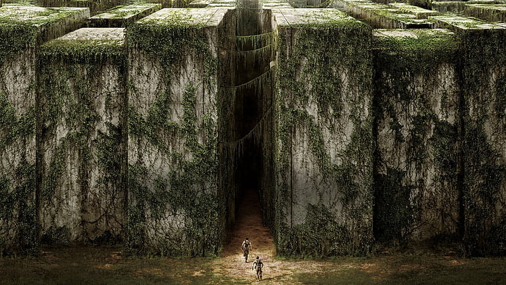 Movie, The Maze Runner, tree, day, forest, land, plant, nature, HD wallpaper
