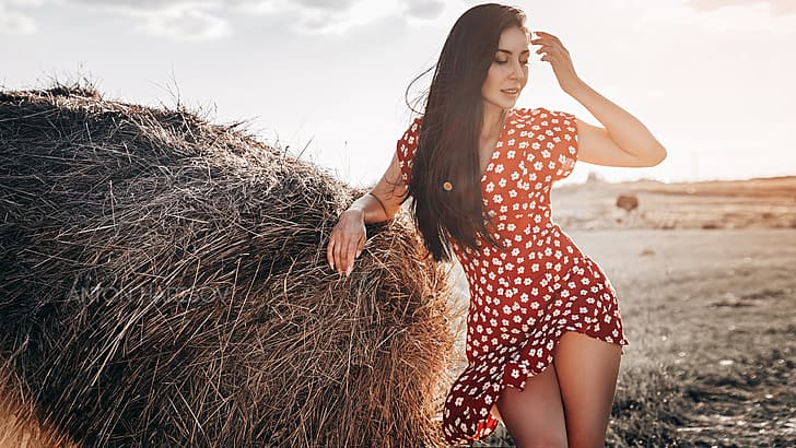 women, Anton Harisov, red dress, hay, women outdoors, brunette, HD wallpaper