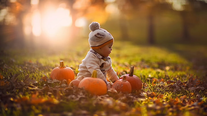 baby's white and gray bobble hat, nature, sunlight, pumpkin, fall