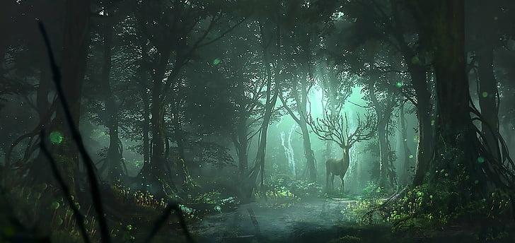 Fantasy forest HD wallpapers  Pxfuel
