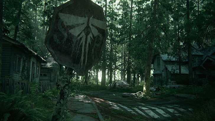 The Last of Us Part 2, The Last of Us 2, Ellie, tree, plant, HD wallpaper