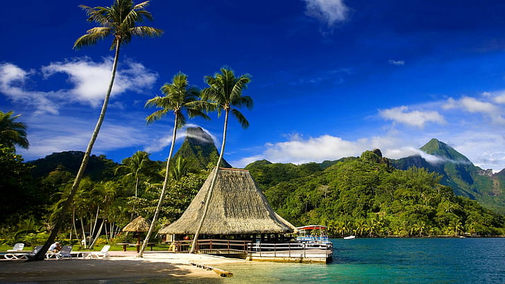 Tahiti Isl Murea, mountain, bench, trees, restplace, forest, beach, HD wallpaper