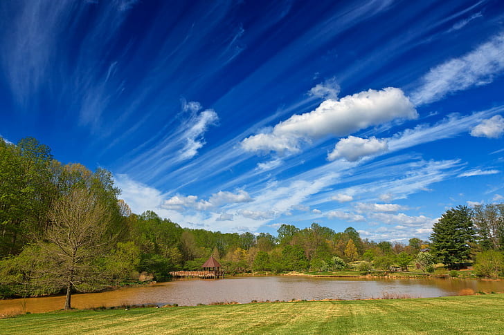 body of water surrounded by trees under blue sky during daytime, meadowlark, meadowlark