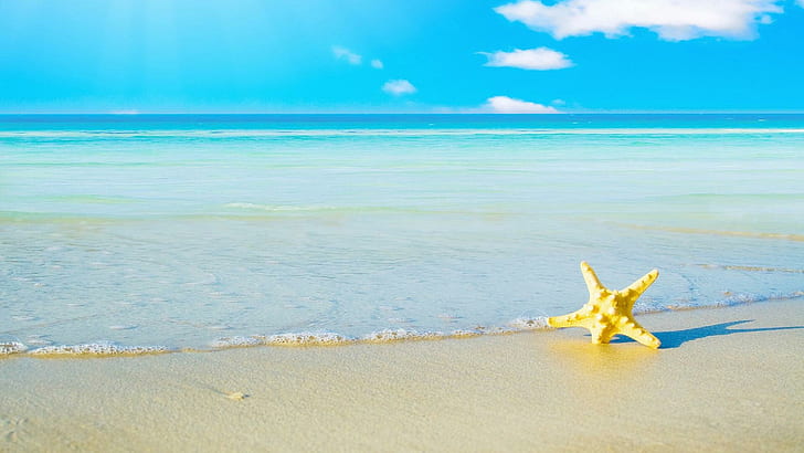 Summer Beach, yellow starfish, vacation, sand, nature and landscapes