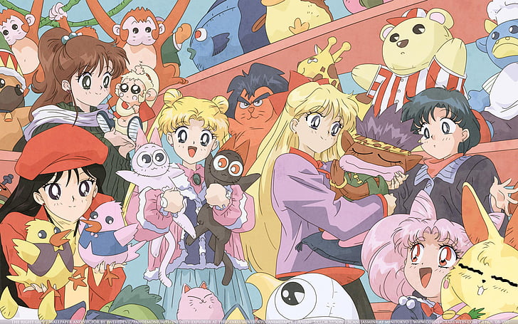 Sailor Moon, primate, mammal, people, animal wildlife, celebration, HD wallpaper