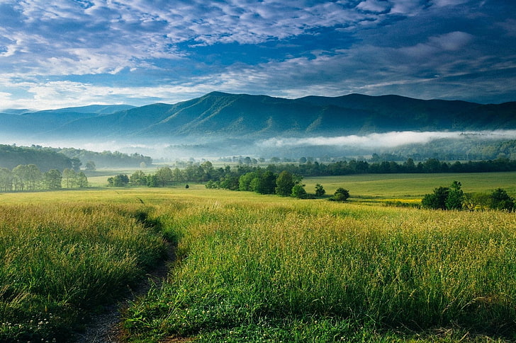 nature, landscape, mountains, mist, valley, trees, clouds, North Carolina
