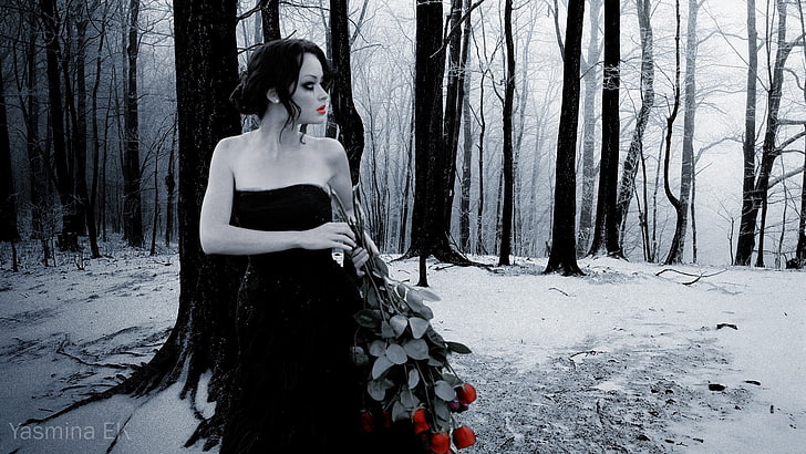 woman wearing black tube dress while holding red rose, actress, HD wallpaper