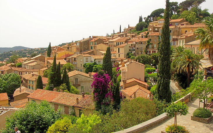 Provence Cote d Azur, green trees, landscape, background, villas, HD wallpaper