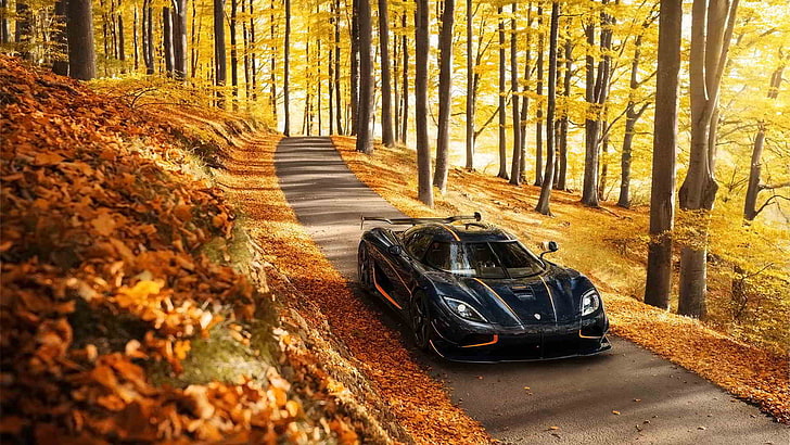 black sports car, Agera R, fall, leaves, trees, Koenigsegg, yellow