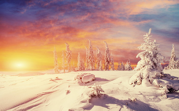 The Magic Of Winter Snow White Snow Cover Trees Sunset Orange Sky Red Clouds Landscape Wallpaper Hd 3840×2400