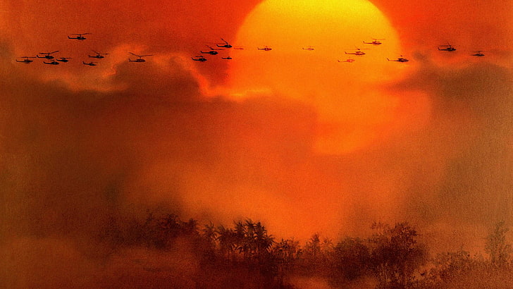 HD wallpaper: Movie, Apocalypse Now, orange color, sky, bird, no people,  vertebrate | Wallpaper Flare