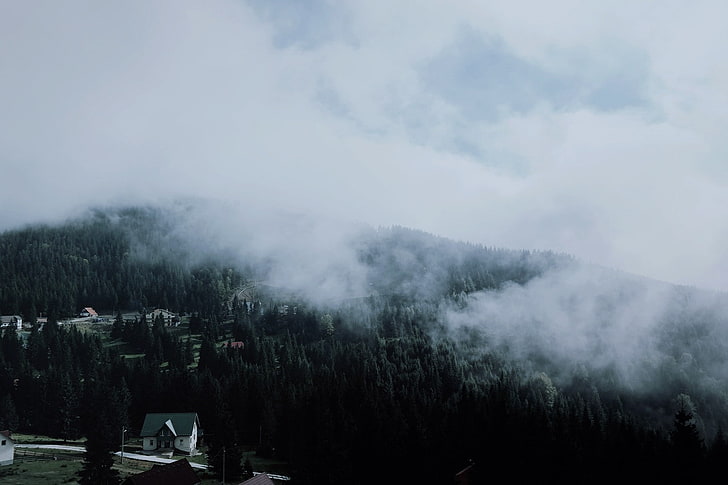 mountains, house, tree, fog, plant, beauty in nature, sky, scenics - nature, HD wallpaper