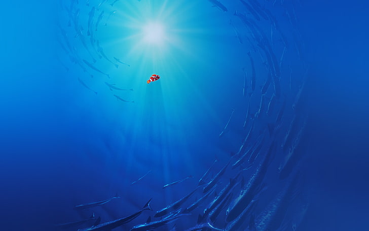 finding, dory, disney, nemo, cute, blue, nature, beauty in nature