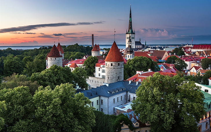 Estonia, Tallinn, city, houses, trees, dusk, summer, HD wallpaper