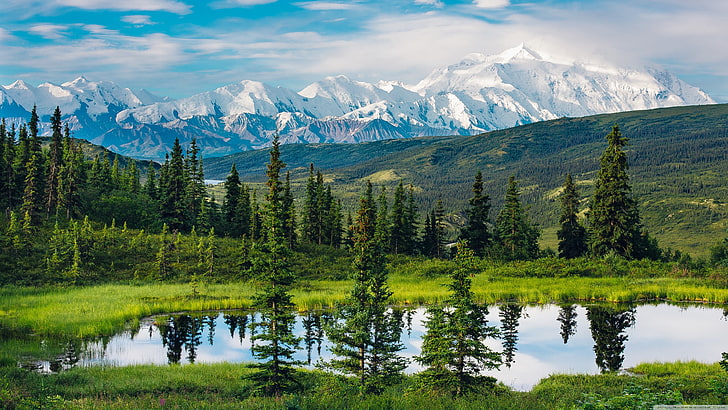 green pine trees, Alaska, nature, landscape, mountains, water