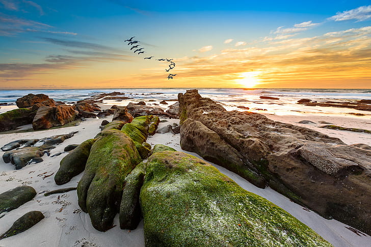 brown rock near sea during daytime, Paw prints, San Diego, La Jolla, California, HD wallpaper