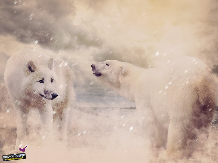bears, wolf, snow, nature, wildlife, group of animals, animal themes, HD wallpaper