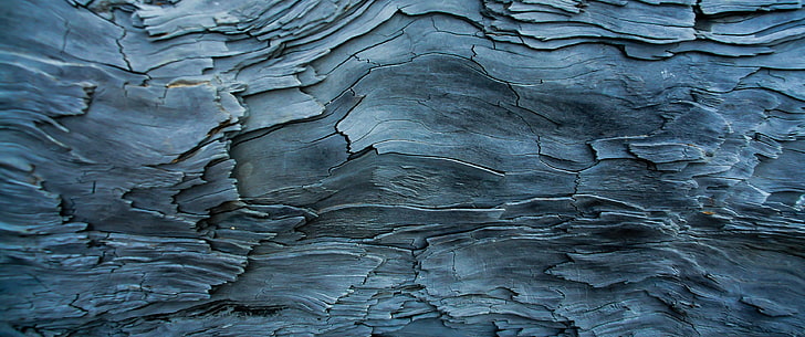 grey wooden surface, ultrawide, nature, photography, macro, texture, HD wallpaper