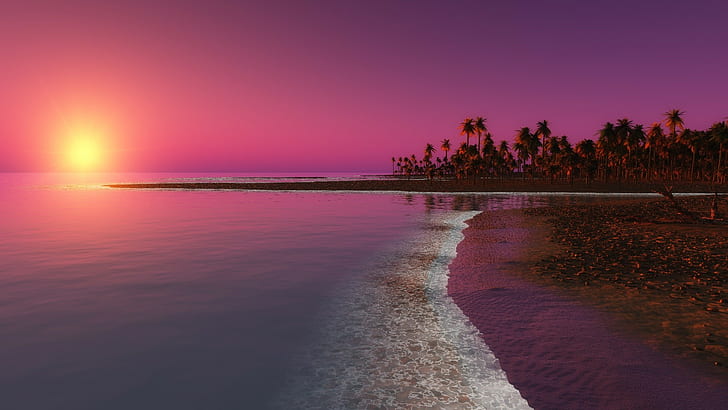 water, beach, palm trees, sunlight, evening, HD wallpaper