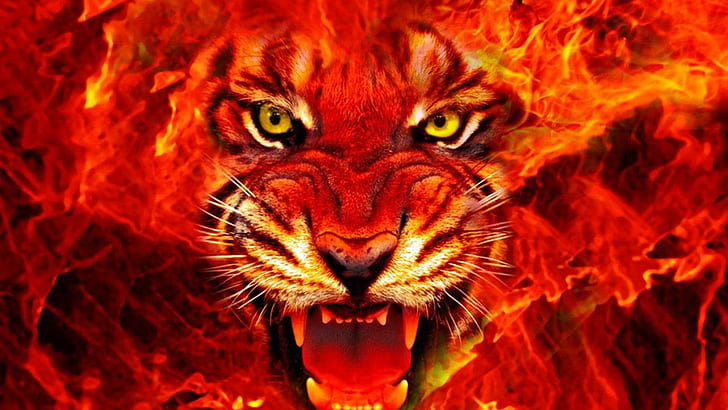 HD wallpaper: Fire King, red tiger fire illustration, big cats, nature,  wildlife | Wallpaper Flare
