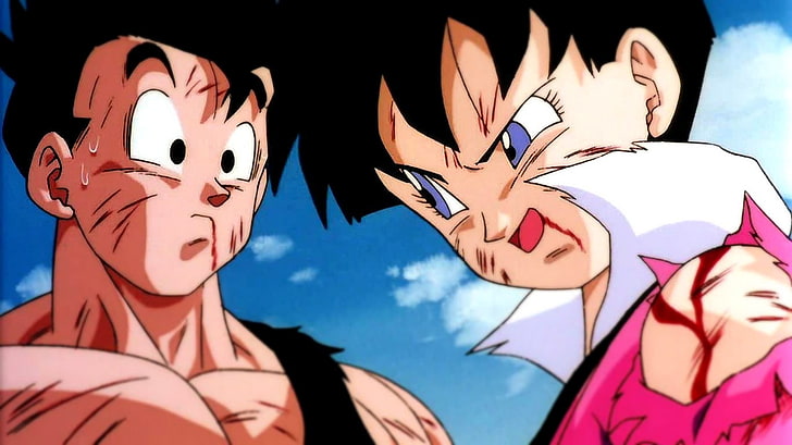 Download Videl (Dragon Ball) wallpapers for mobile phone, free Videl (Dragon  Ball) HD pictures
