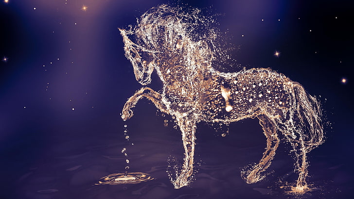 horse, droplet, drops, water drops, night, darkness, starry, HD wallpaper