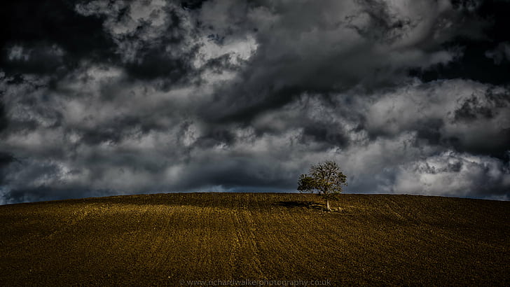 field with bad weather, Autumn, Tree, clouds, lonely, sky, sunlight, HD wallpaper