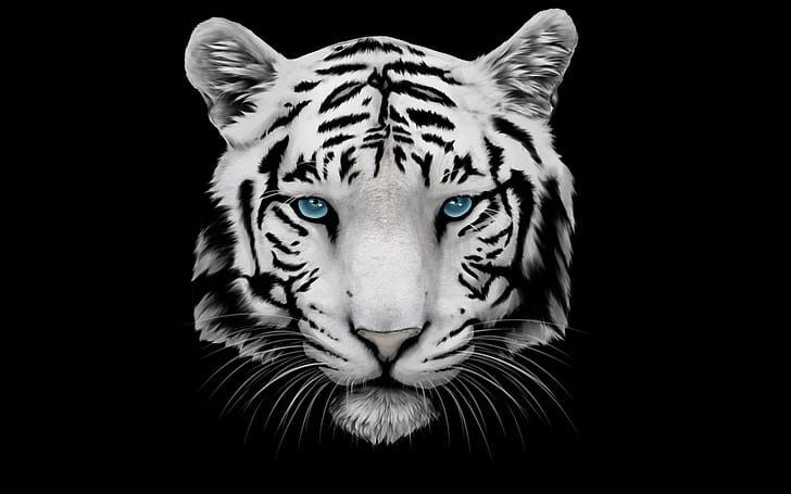 White Tiger With Blue Eyes Wallpapers 3d  Wallpaper Cave