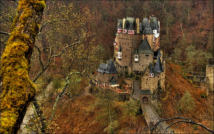 Castles, Eltz Castle, tree, architecture, autumn, built structure, HD wallpaper