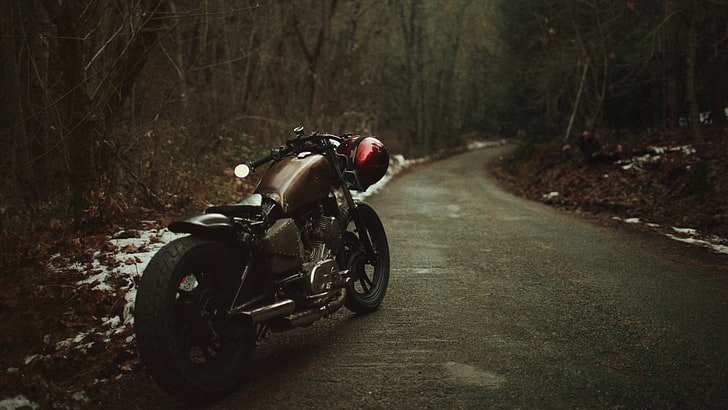 black and brown motorcycle, Bobber, nature, snow, trees, leaves, HD wallpaper