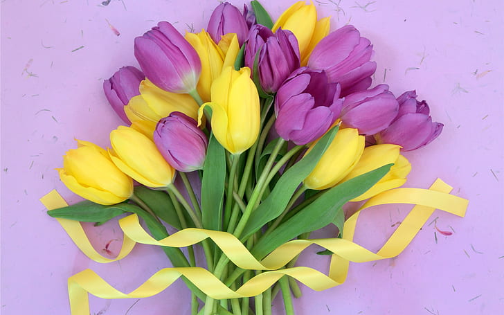 Purple yellow flowers, tulips bouquet, ribbon