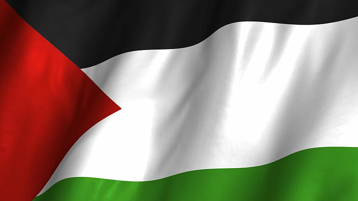 flag, palestine, HD wallpaper