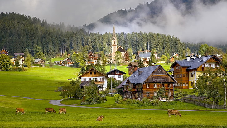 village, architecture, town, building, Austria, wood, house