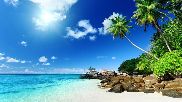 beach, nature, landscape, sea, palm trees, tropical, HD wallpaper
