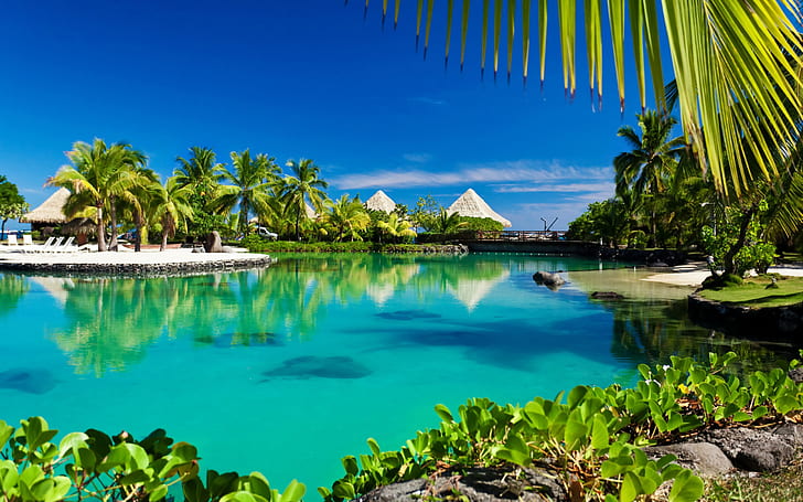 Tropical, paradise, palm trees, sea, ocean, beach, sunshine, HD wallpaper