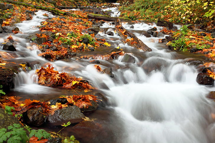 time lapse photo of ranging river, Autumn, Euphoria, Creek, Columbia  River  Gorge, HD wallpaper