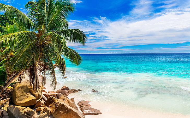 Beautiful Beach With Sand Green Palm Trees Sea Clear Water rocks horizon clouds Tropical Wallpaper HD 3840×2400, HD wallpaper