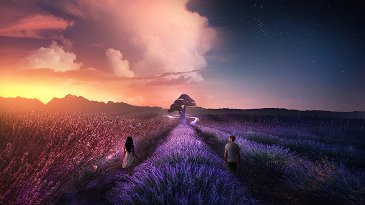 man and woman standing on lavender field wallpaper, nature, landscape